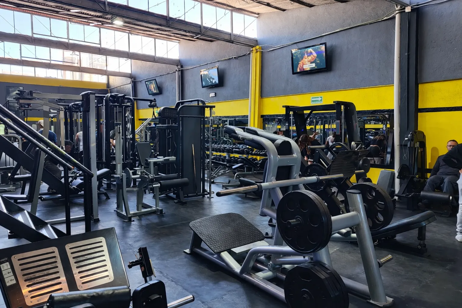 Area de tren inferior